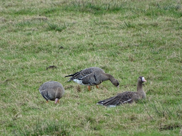 损失较少 损失较少